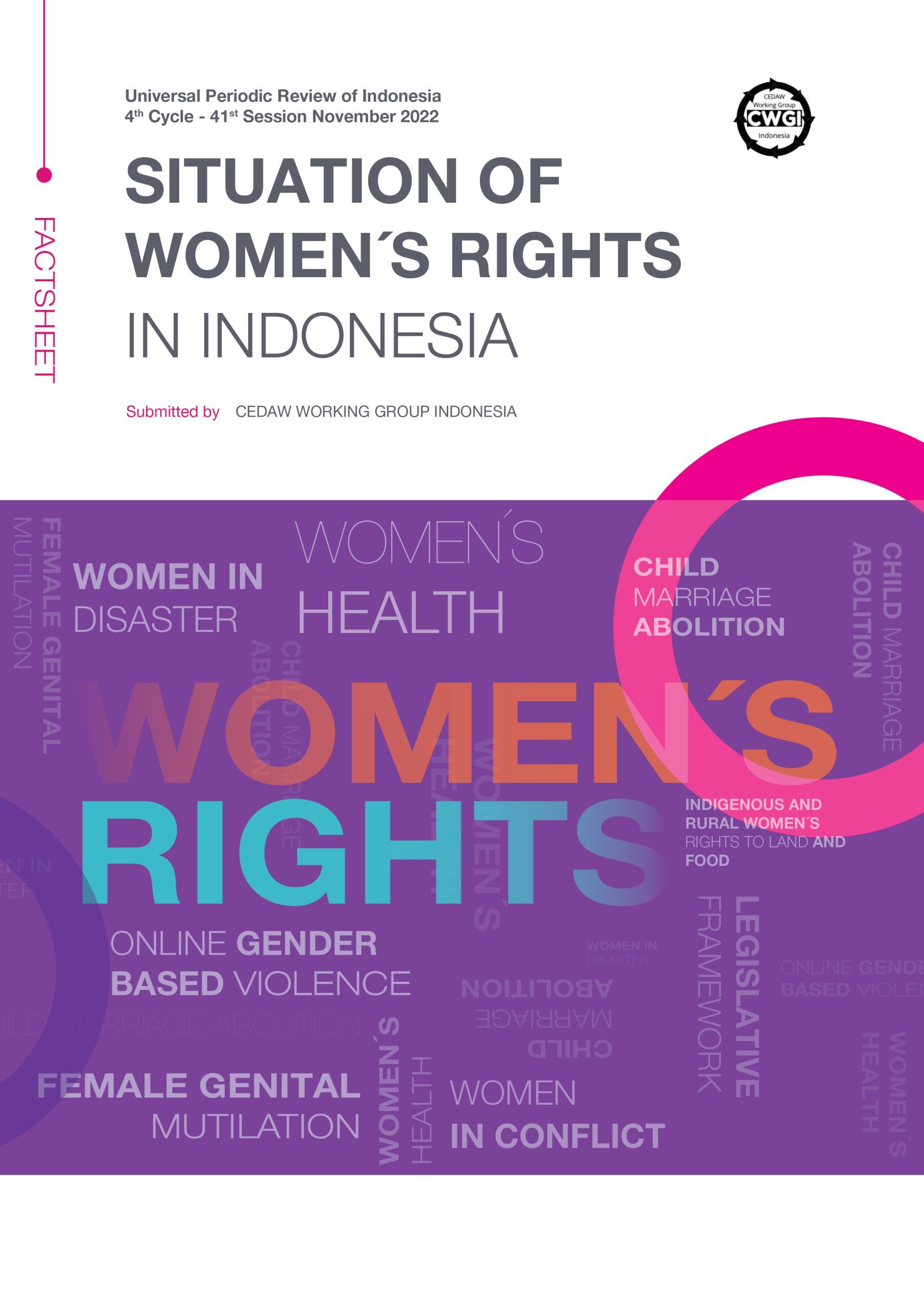 Universal Periodic Review of Indonesia Situation of Women's Rights in